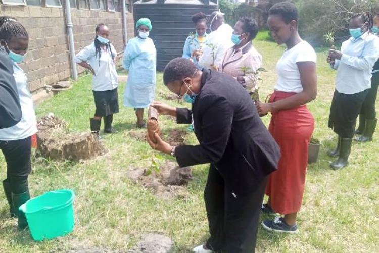 TREE PLANTING EXERCISE AT KMSH UNIT