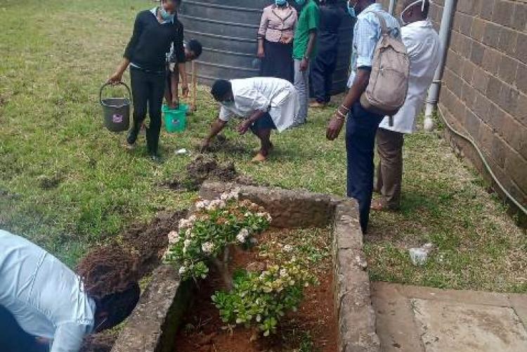 TREE PLANTING EXERCISE AT KMSH UNIT