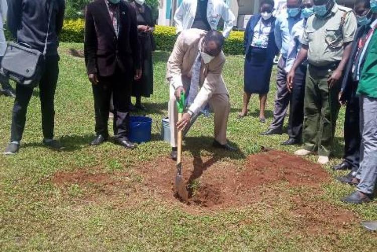 TREE PLANTING EXERCISE AT KMSH UNIT