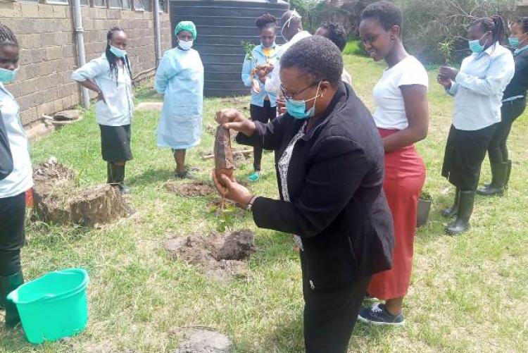 TREE PLANTING EXERCISE AT KMSH UNIT