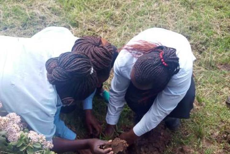 TREE PLANTING EXERCISE AT KMSH UNIT