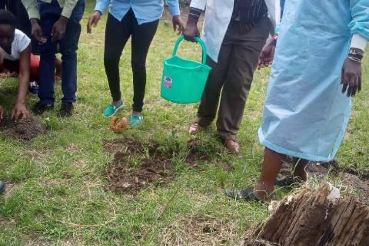 TREE PLANTING EXERCISE AT KMSH UNIT