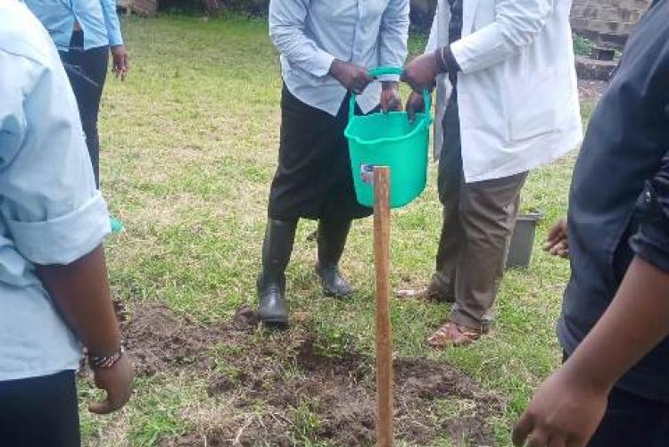 TREE PLANTING EXERCISE AT KMSH UNIT