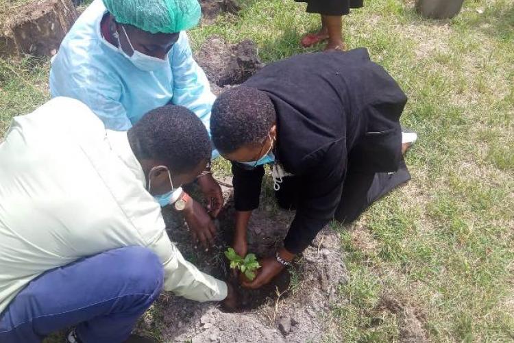 TREE PLANTING EXERCISE AT KMSH UNIT