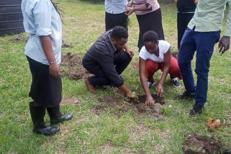 TREE PLANTING EXERCISE AT KMSH UNIT