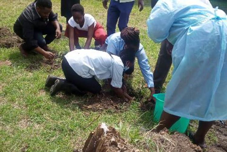 TREE PLANTING EXERCISE AT KMSH UNIT
