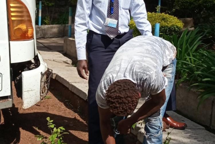 Tree planting exercise at SWS - 18/5/2021