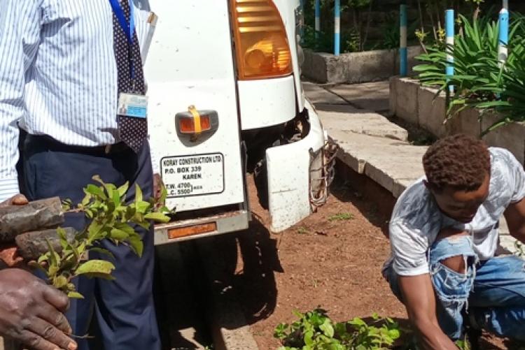 Tree planting exercise at SWS- 18/5/2021