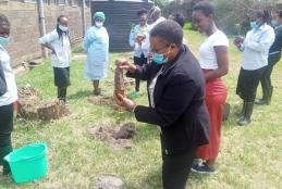 Staff & students planting trees at KMSH UNIT